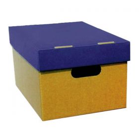 Κουτί Αποθήκευσης Classic Α4 με Μπλε Καπάκι Υ18x23x32εκ.