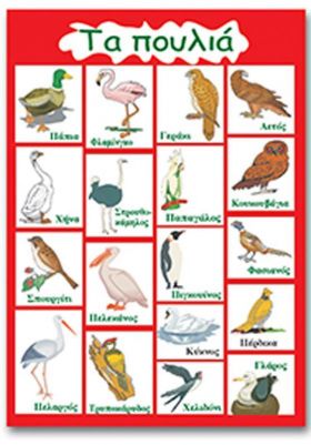 Next εκπαιδευτική αφίσα "Τα πουλιά" 50x70εκ.