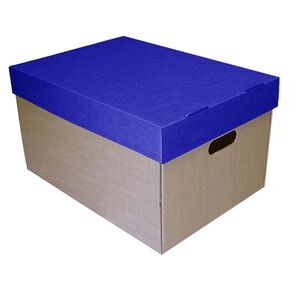 Νext κουτί μπλε καπάκι Υ30x53x38εκ.