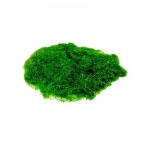 Γρασίδι νάυλον πράσινο 50gr.