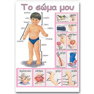 Next εκπαιδευτική αφίσα "Το σώμα μου" Ελληνικά 50x70εκ.