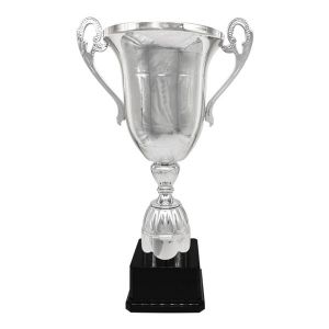 Κύπελλο Πολυτελείας Ασημί 46εκ. ΚΠ-100