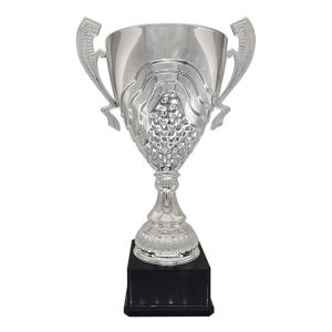 Κύπελλο Πολυτελείας Ασημί 50εκ. ΚΠ-110