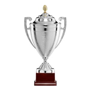 Κύπελλο Πολυτελείας Ασημί Χρυσό 53εκ. ΚΠ-096
