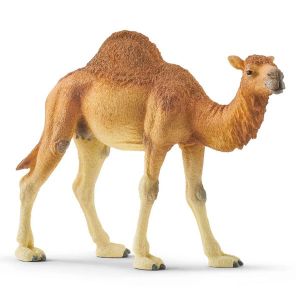 Μινιατούρα Αραβική Kαμήλα 14εκ. Schleich-S